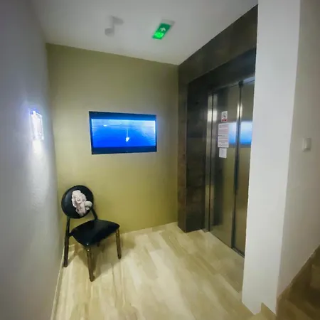 Miro 马卡尔斯卡